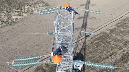 Quşların elektrik xətlərindən,qorunması üçün tədbirlər həyata keçiriləcək