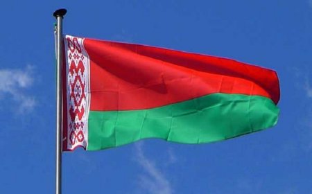 Belarusda güclü külək 450-dən çox yaşayış məntəqəsinə zərər vurub