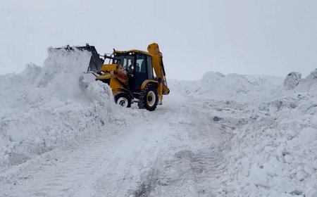 Kəlbəcər və Laçında dislokasiya olunan qoşunların döyüş qabiliyyəti yüksək səviyyədə saxlanılır-VIDEO