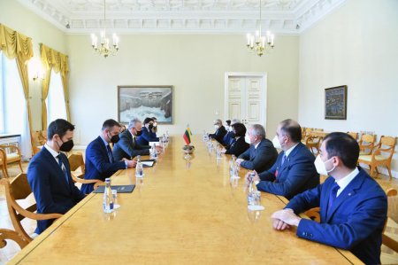 Milli Məclisin sədri Sahibə Qafarova Litva prezidenti Qinatas Nauseda ilə görüşüb