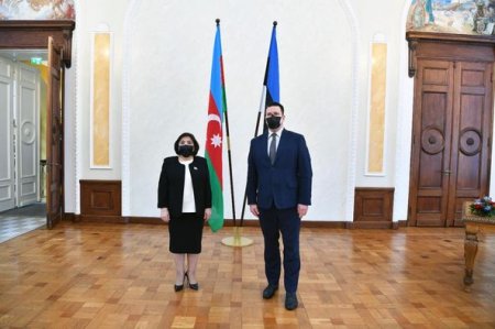 Milli Məclisin sədri Sahibə Qafarova estoniyalı həmkarı ilə görüşüb