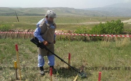 Azad edilən ərazilərdə daha 42 mina aşkarlanıb