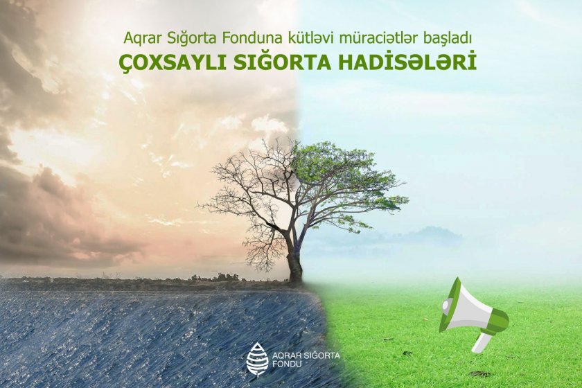 Aqrar Sığorta Fondu: Bölgələrdən daxil olan müraciətlər müstəqil ekspertlərin iştirakı ilə araşdırılır