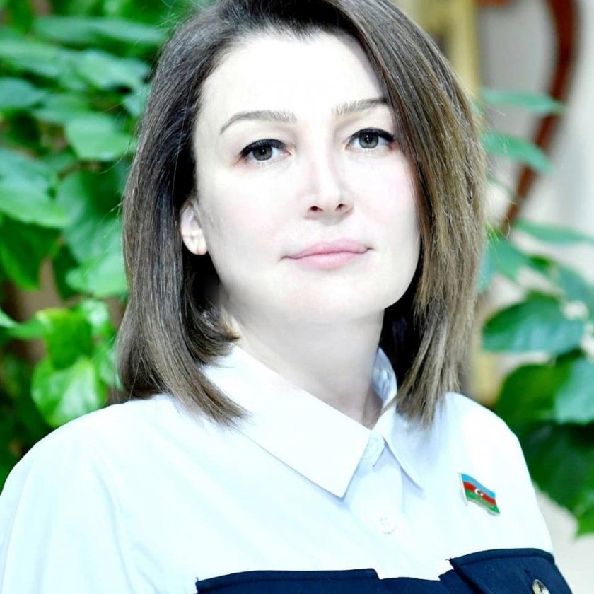 Deputat: "Sahibə Qafarova Ermənistan parlamentinin spikerinin iddialarına tutarlı və arqumentli cavab verib”