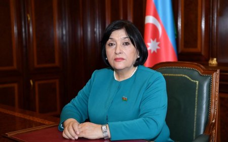 Sahibə Qafarova: "Dövlətimizin sosial - iqtisadi inkişafında Azərbaycan qadınları özünəməxsus rol oynayır"