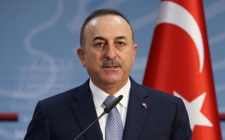 Çavuşoğlu: "Ermənistanın XİN başçısı Azərbaycanla sülh müqaviləsində maraqlı olduğunu bildirdi"