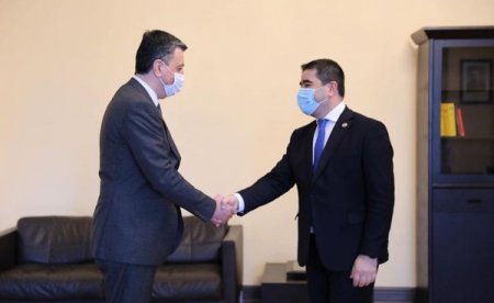 Səfir Faiq Quliyev Gürcüstan Parlamentinin sədri Şalva Papuaşvili ilə görüşüb