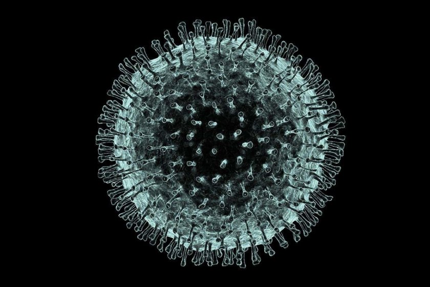 Dünyada koronavirusa yoluxma halları 500 milyona yaxınlaşır