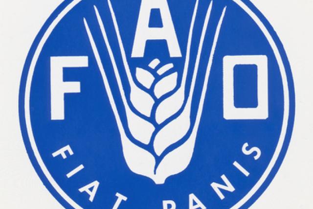 FAO Azərbaycanda fındıqçılığın inkişafına dəstək verəcək
