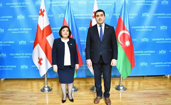 Sahibə Qafarova Gürcüstan parlamentinin sədri Şalva Papuaşvili ilə görüşüb