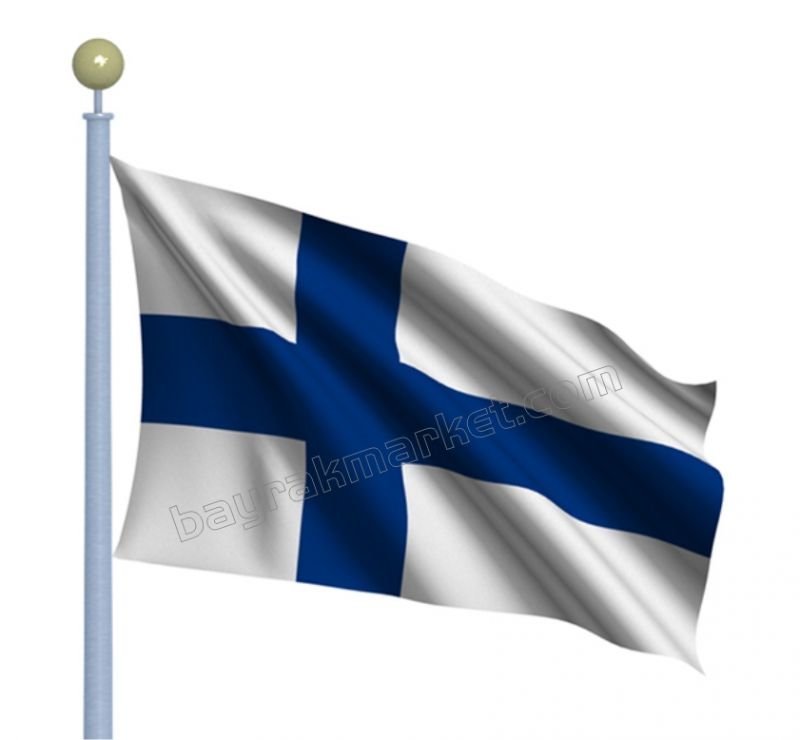 Finlandiya Rusiyadan gələn elektrik enerjisini müvəqqəti dayandırıb