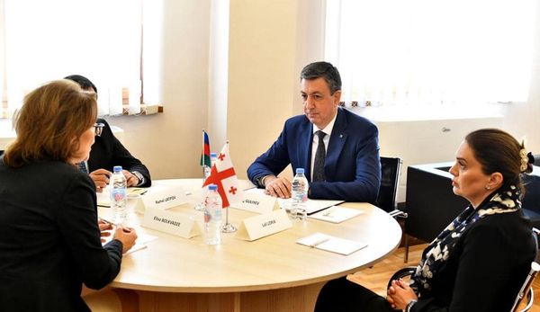 Səfir Faiq Quliyev Gürcüstan Parlamentinin Mədəniyyət Komitəsinin sədri ilə görüşüb