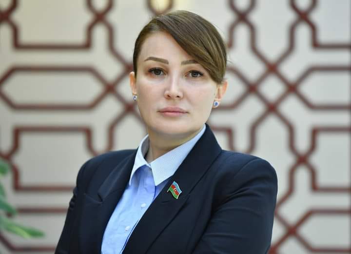 Jalə Əhmədova MDB PA-nın 30 illik yubiley medalı ilə təltif olunub