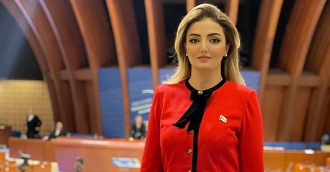 Könül Nurullayeva AŞPA-nın Gender bərabərliyi alt komitəsinin sədr müavini seçildi