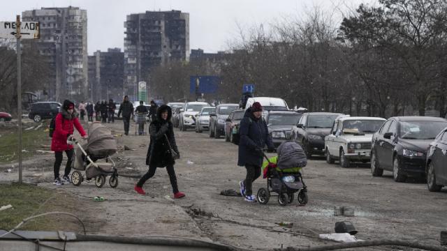Latviya sərxoş sürücülərdən müsadirə edilən maşınları Ukraynaya göndərir