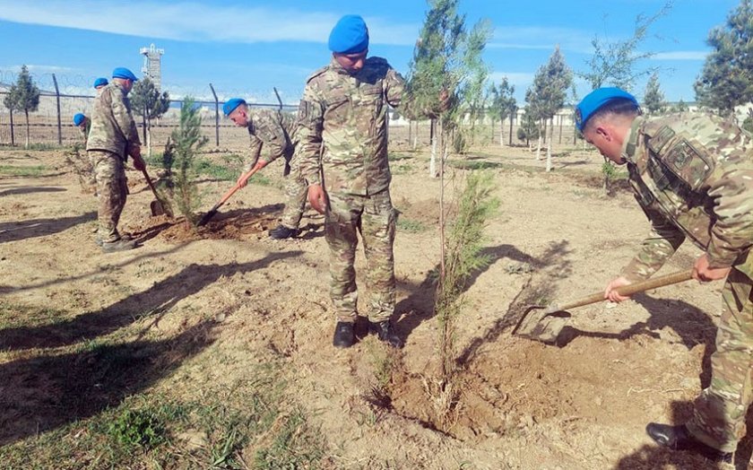 Azərbaycan Ordusunda ağacəkmə aksiyaları keçirilir