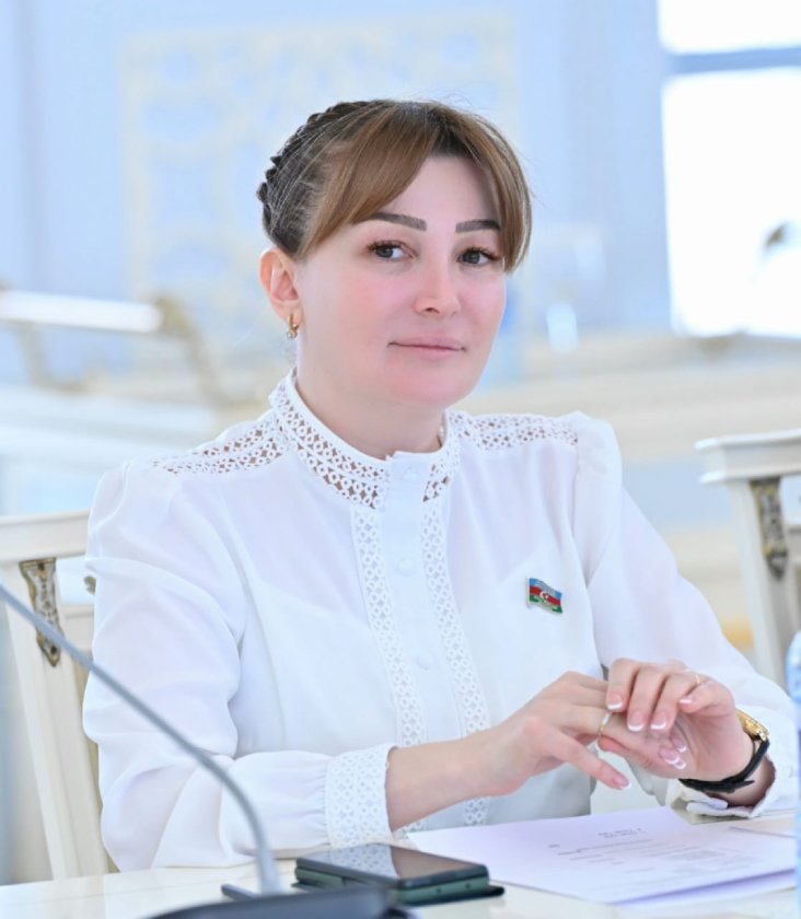 Jalə Əhmədova: “Prezident İlham Əliyev Azərbaycan Televiziyasına müsahibəsində bir sıra  mühüm mesajlar verdi”