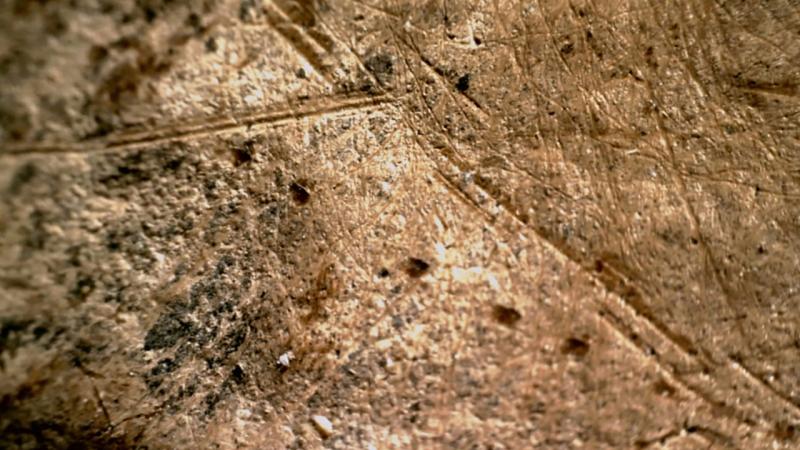 Neandertal insanların ən qədim mağara rəsmləri ortaya çıxdı