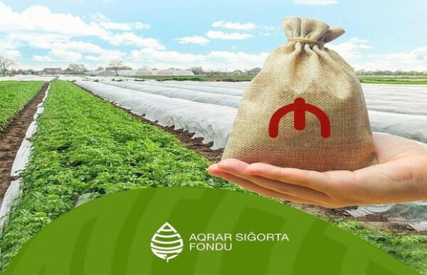 Aqrar Sığorta Fondu zərər ödənişlərinə başladı