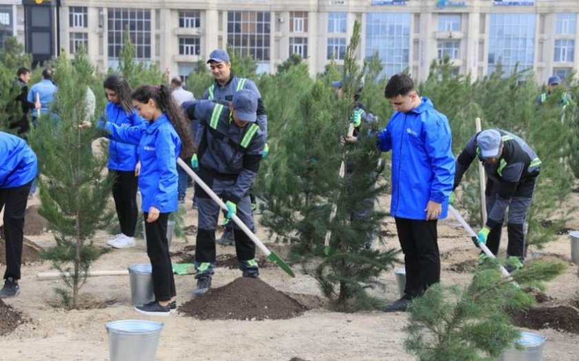 Zəfər Günü ilə bağlı Bakıda ağacəkmə aksiyası keçirilib