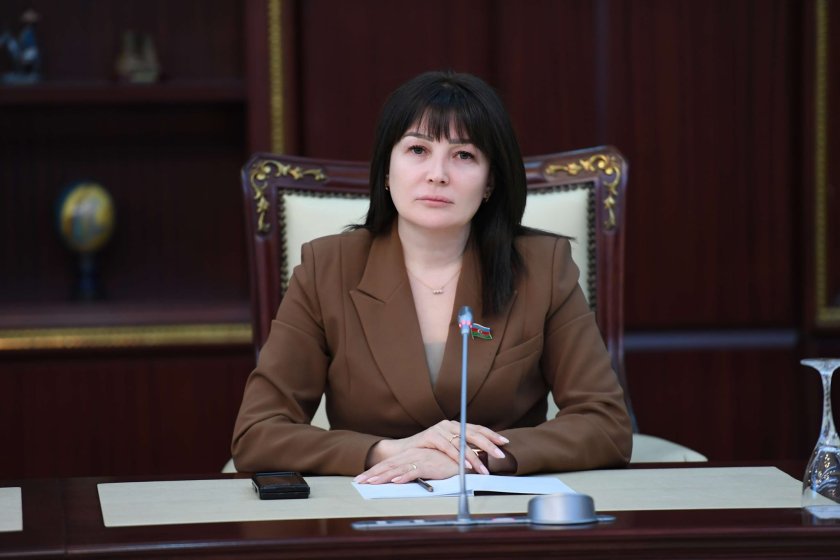Jalə Əhmədova: “Avropa Şurası Parlament Assambleyasının addımları dialoqa xidmət etmir”