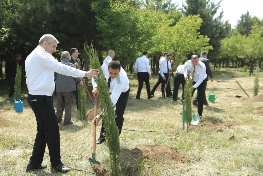 15 regionun prokuroru Gəncədə ağacəkmə kampaniyasında iştirak edib