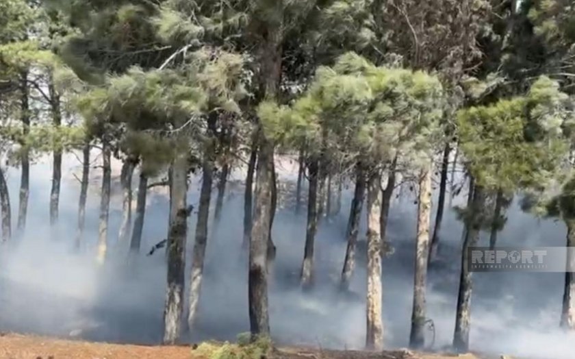 Bakı-Sumqayıt yolunda yanğın başlayıb