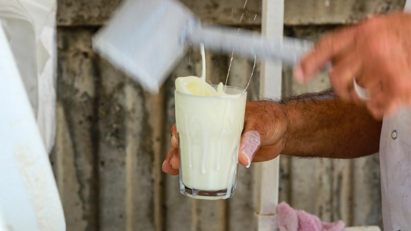 Ayran istehsalında rekord göstərici