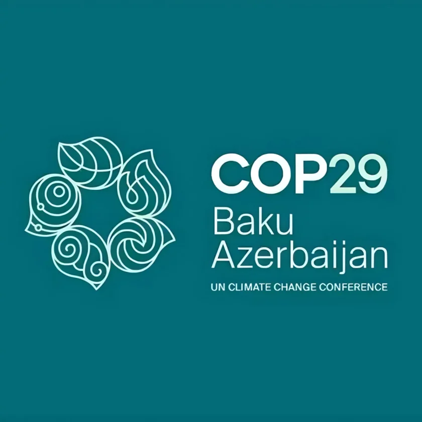 COP29-un Azərbaycanda keçirilməsi ölkəmiz açısından böyük hadisədir