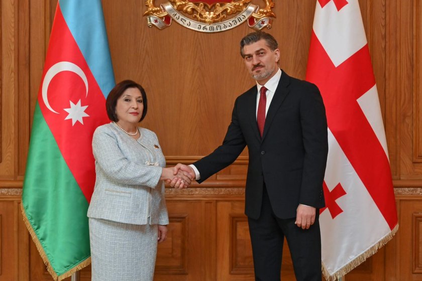 Sahibə Qafarova Gürcüstan Prezidenti ilə görüşüb