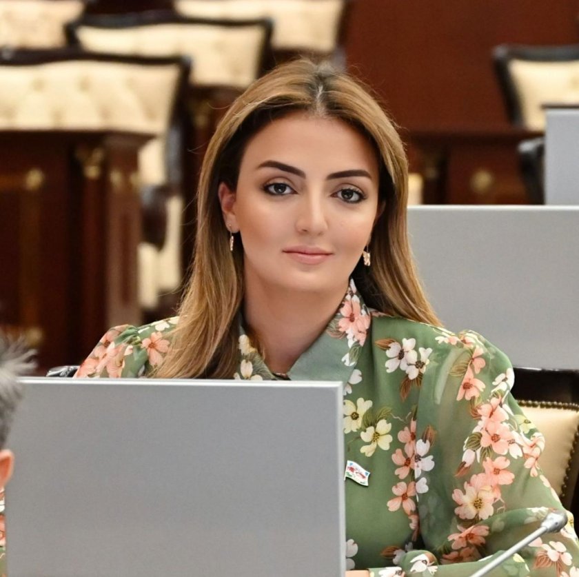 Almaniya prezidenti Ermənistanın törətdiyi təxribatlarla bağlı narahatlıq bildirməli idi