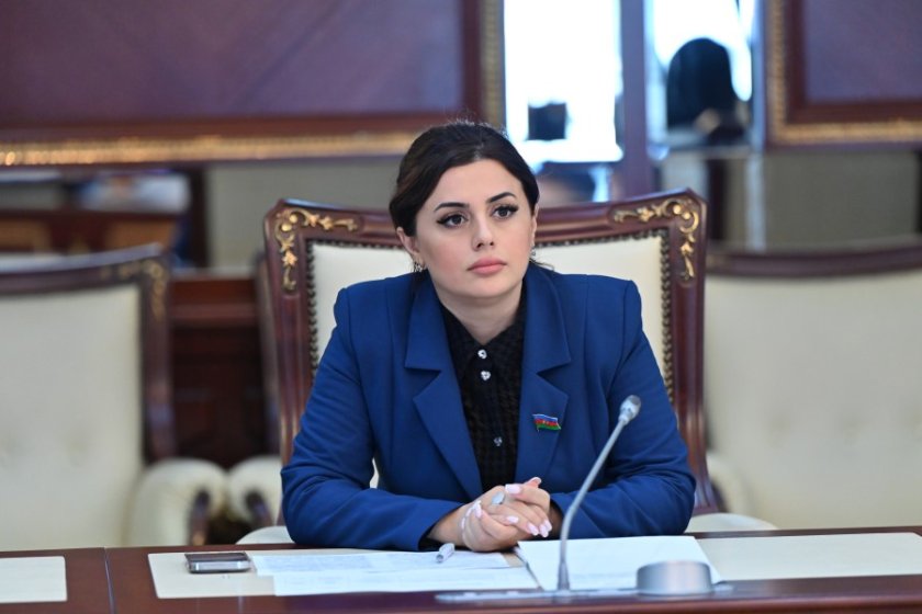 Deputat Ermənistanın qanunsuz və ekoloji normaları pozan dağ-mədən sənayəsindən danışıb