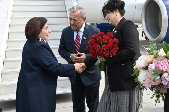 Milli Məclisin sədri Sahibə Qafarova Özbəkistana işgüzar səfərə gedib