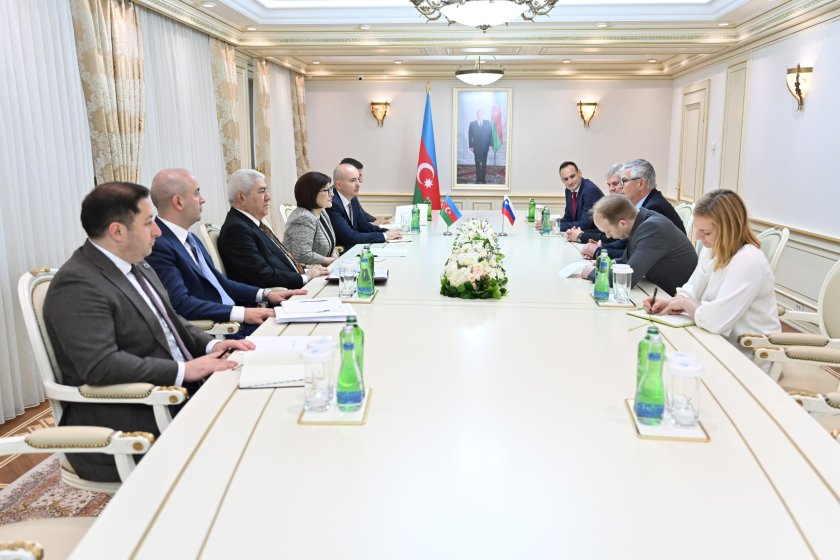 Sahibə Qafarova Sloveniya-Azərbaycan parlamentlərarası dostluq qrupunun üzvləri ilə görüşüb