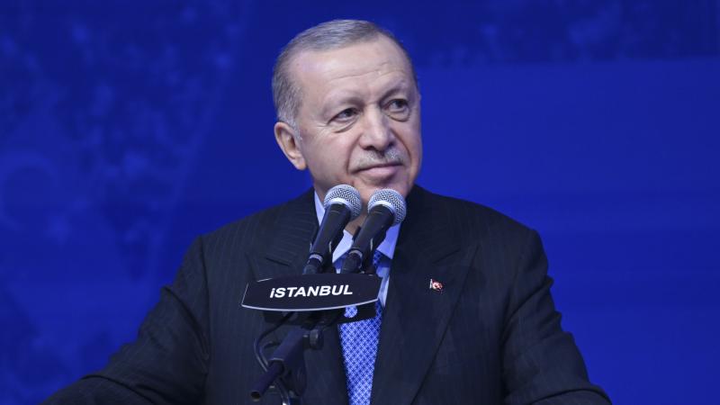 Türkiyə idealımızı həyata keçirmək üçün gənclərimizlə əl-ələ veririk-ƏRDOĞAN