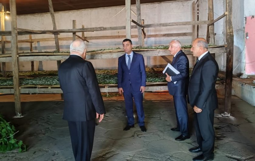 Yevlaxda fərdi təsərrüfata baxış keçirilib