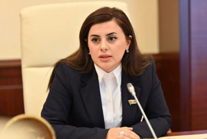 Ermənistanın dağ-mədən müəssisələrinin qapılarını, Azərbaycan ekoloqları da daxil olmaqla, beynəlxalq monitorinq qrupuna açmalıdır
