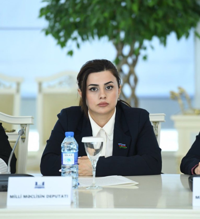 Azərbaycan regionda sülhün, əməkdaşlığın və inkişafın təminatçısı rolunu oynamağa hazırdır