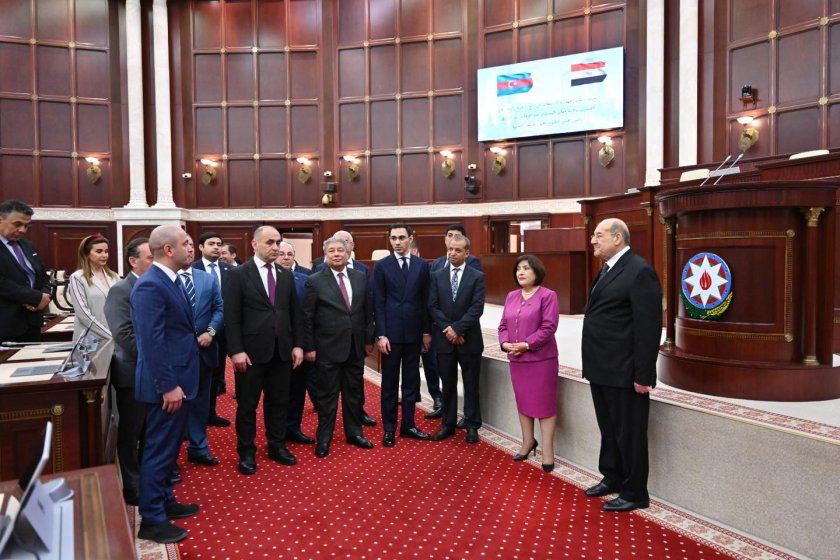 Sahibə Qafarova Misir Senatının sədri Abdel Vahab Abdel Razeq ilə görüşüb