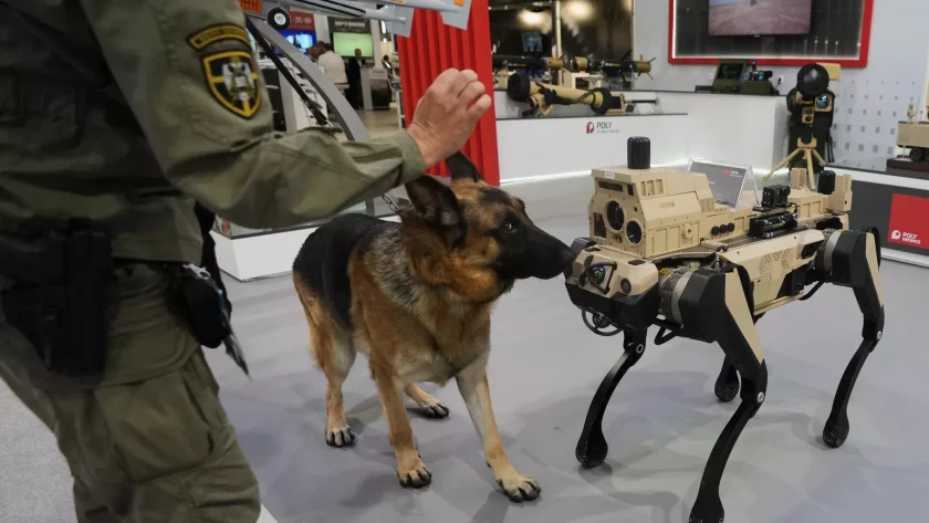 Robot itlər Çin küçələrində patrul etməyə başlayır