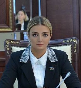 Azərbaycan Ordusu həm müdafiə, həm də əməliyyat-taktiki hücum funksiyalarını effektiv həyata keçirmək gücündədir