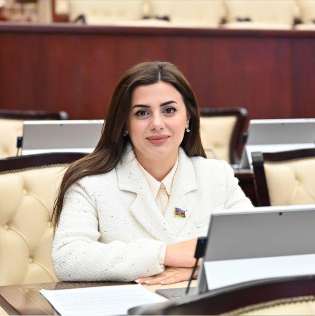 Zəfər Günü Azərbaycan xalqının ədalətin və beynəlxalq hüququn bərpası uğrunda qazandığı tarixi nailiyyətdir.