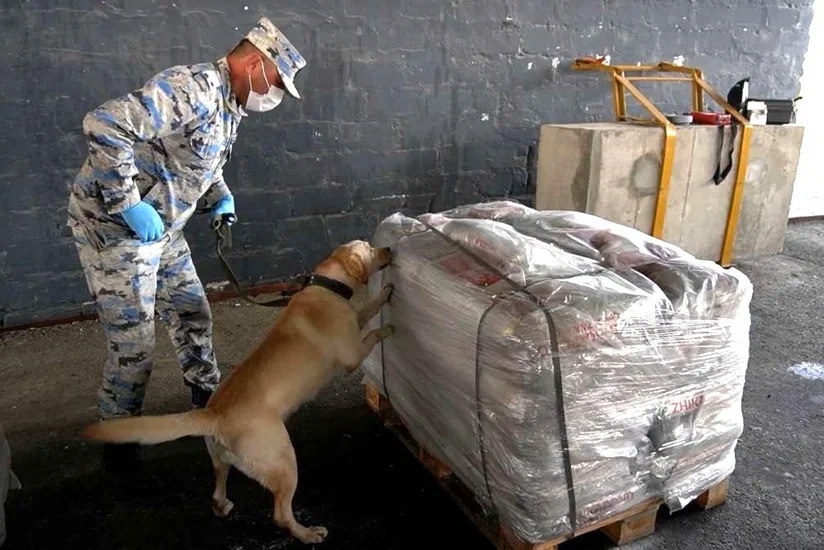 ABŞ səfirliyi: Azərbaycana 90 milyon dollarlıq heroin aşkarlamağa kömək edən texnika vermişik