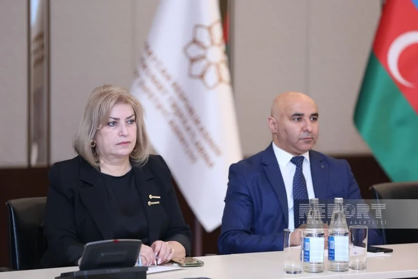  Zaur İbrahimli: Milli toponimlərlə bağlı elmi əsərlərin ortaya çıxarılması əsas istiqamətlərdəndir 