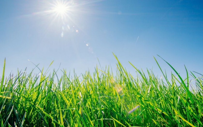 Sabah hava yağmursuz olacaq