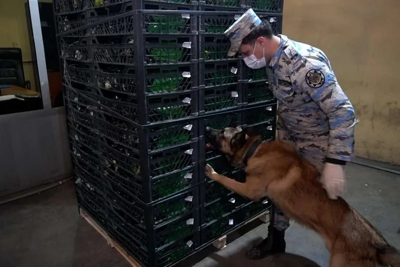 Astara Gömrük İdarəsində 148 kiloqramdan artıq narkotik vasitə aşkarlanıb