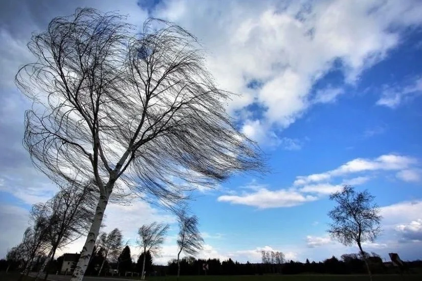 Azərbaycanın rayonlarında güclü külək əsir, qar yağır - FAKTİKİ HAVA