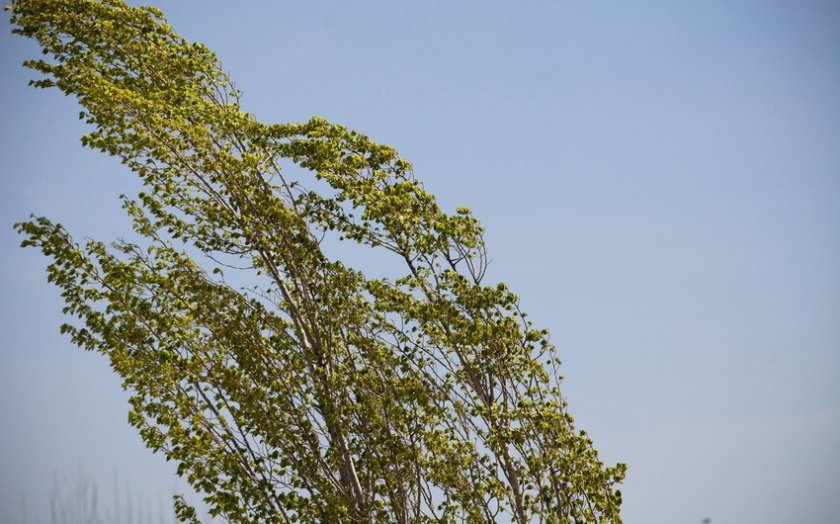 Sabah Bakıda güclü külək əsəcək