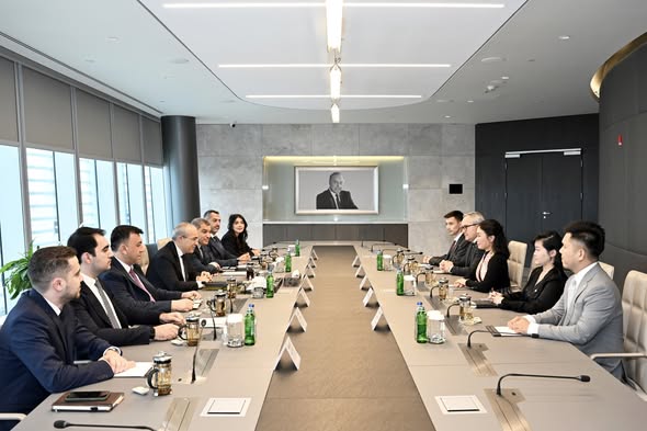 İqtisadiyyat naziri Vyetnamın “VinFast” şirkətinin nümayəndə heyəti ilə görüşüb