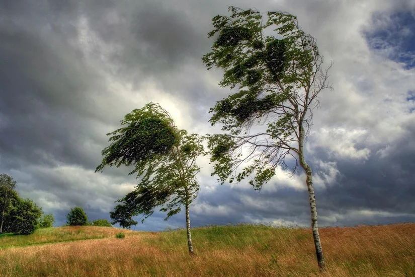 Küləkli hava şəraiti ilə bağlı sarı xəbərdarlıq verilib